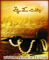 Jannat Kay Pattay By Nimra Ahmad